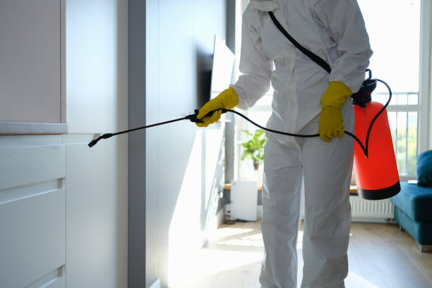 Mold Remediation for Vacation Homes in Gaylord, MN